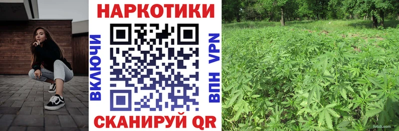 Где купить Бавлы Гашиш  Каннабис  Псилоцибиновые грибы  Меф мяу мяу  КЕТАМИН  Cocaine 