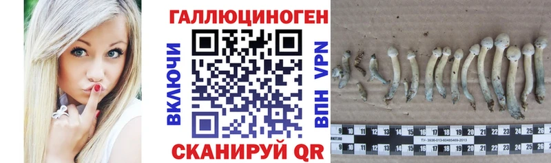 Галлюциногенные грибы GOLDEN TEACHER  продажа наркотиков  Бавлы 